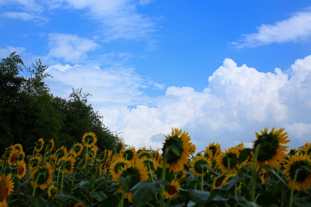 5D3_3505_2048x1365_2.jpg
