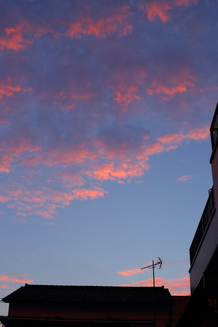 5D3_5585_2048x1365_2.jpg