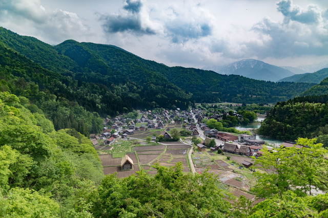 5D3_6247_CameraRAW_2048.jpg