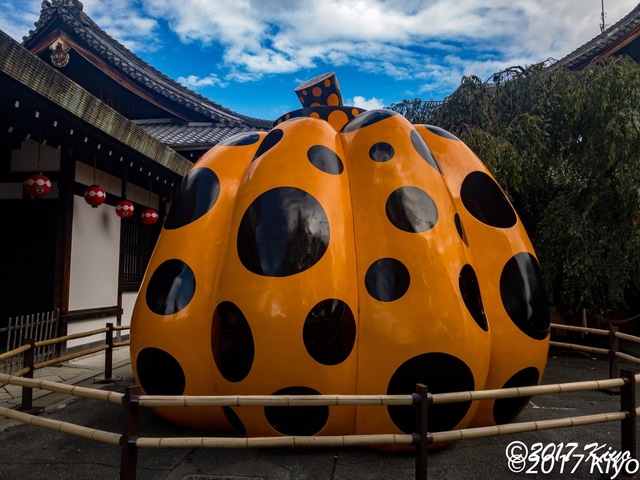 APC_0853_Lightroom現像_2048_signed.jpg