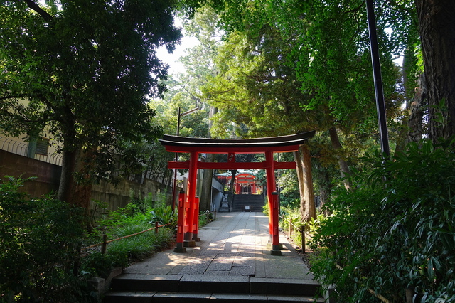 DSC00042_2048x1365_2.jpg
