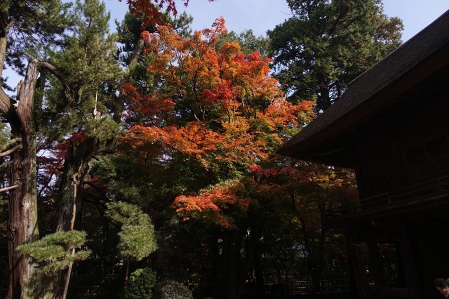 DSC00133_2048x1365.jpg