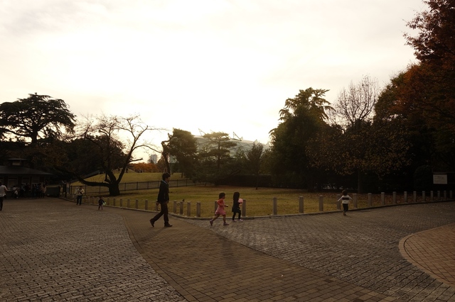 DSC00200_2048x1365.jpg
