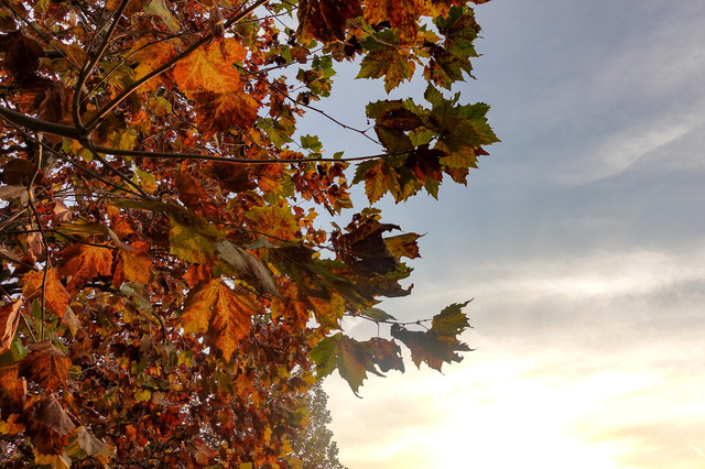 DSC00253_CameraRAW_2048.jpg