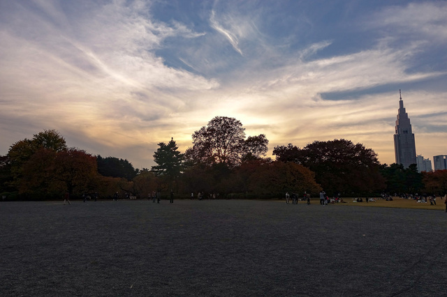 DSC00273_CameraRAW_2048.jpg