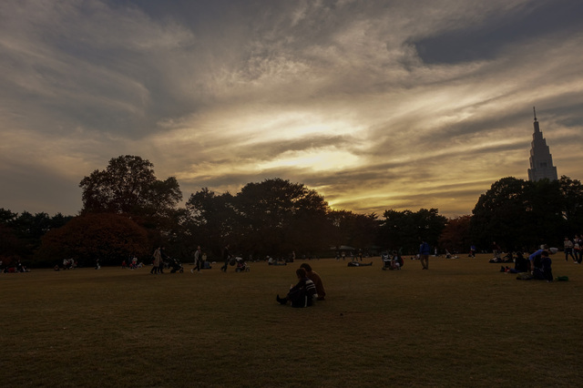DSC00295_CameraRAW_2048.jpg