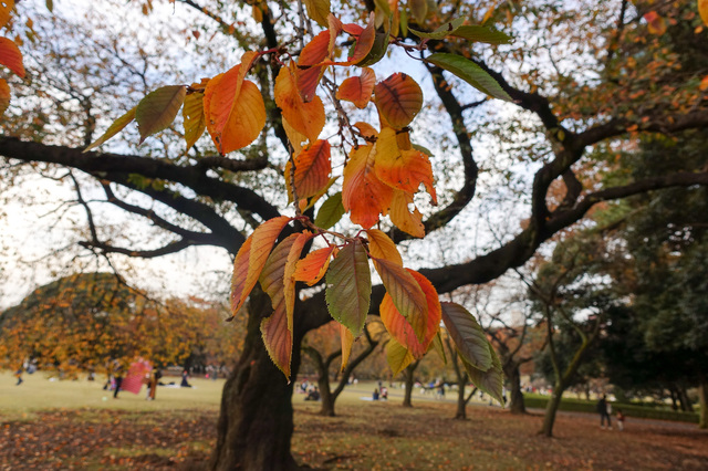 DSC00332_CameraRAW_2048.jpg