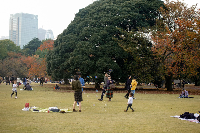 DSC00350_CameraRAW_2048.jpg