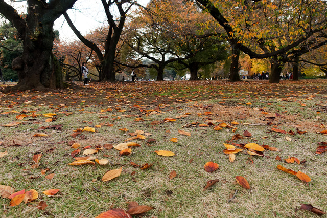 DSC00356_CameraRAW_2048.jpg