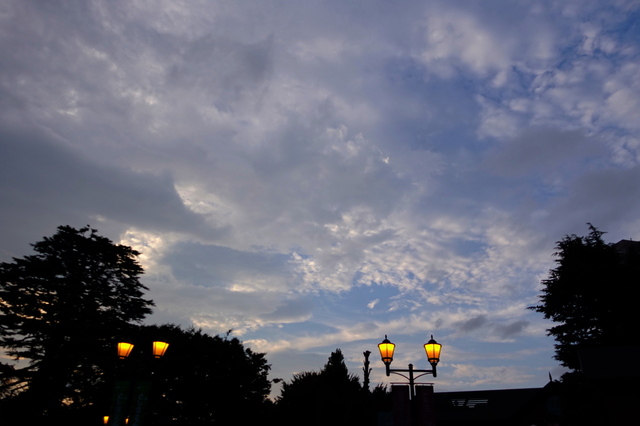 DSC00395_2048x1365_2.jpg