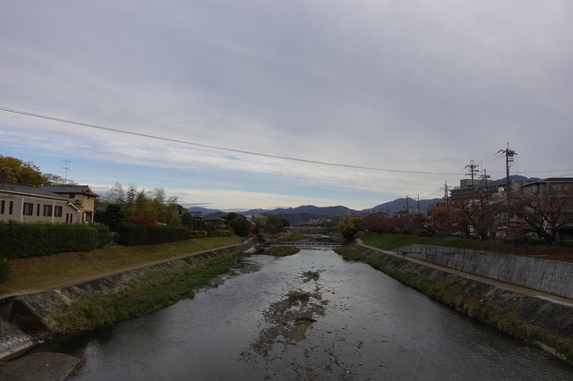 DSC00534_2048x1365.jpg