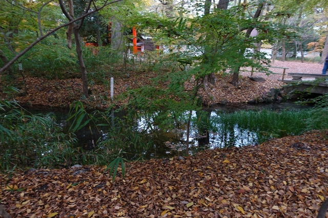 DSC00555_2048x1365.jpg