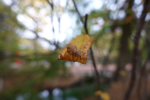 DSC00557_2048x1365.jpg