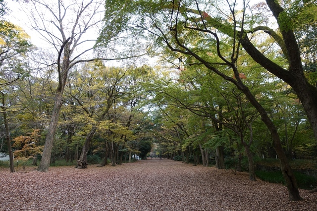 DSC00567_2048x1365.jpg