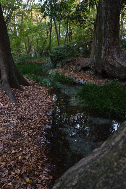 DSC00570_2048x1365.jpg