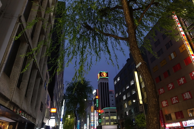 DSC00598_2048x1365_2.jpg
