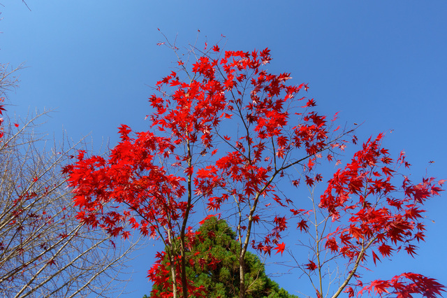 DSC00666_CameraRAW_2048.jpg