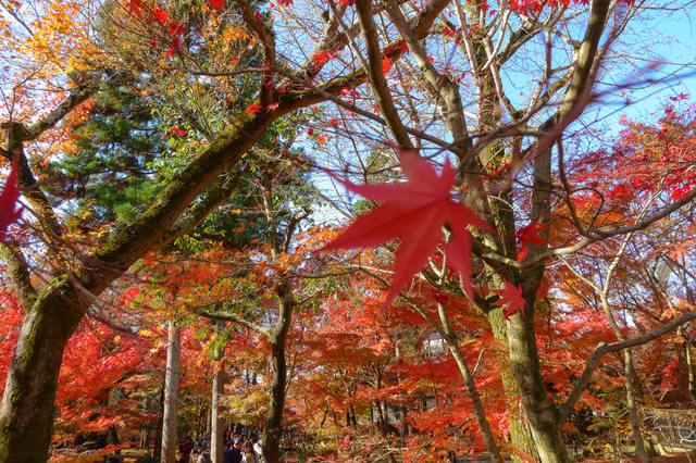 DSC00689_CameraRAW_2048.jpg