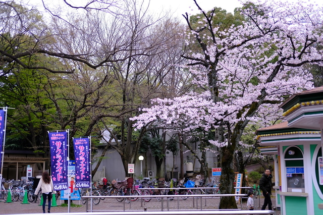 DSCF0041_2048x1365.jpg