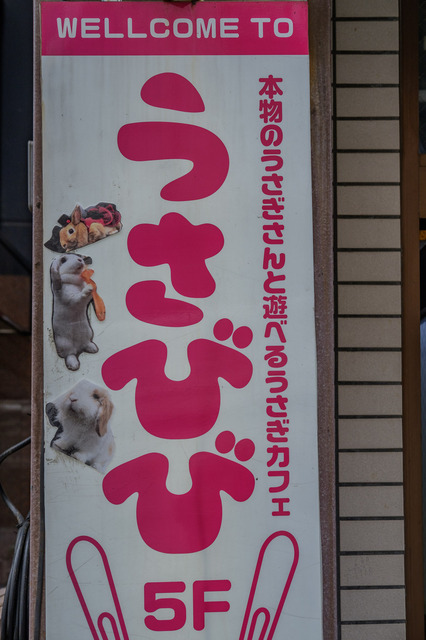DSCF0855_CameraRAW_2048.jpg