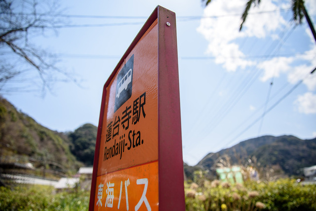 DSC_0640_CameraRAW_2048.jpg