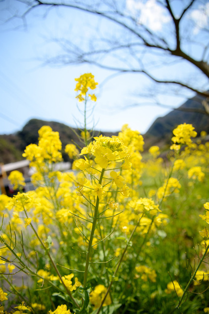 DSC_0641_CameraRAW_2048.jpg