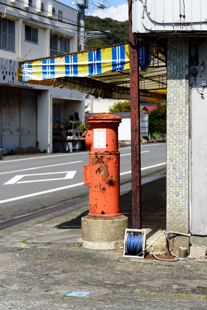 DSC_0656_CameraRAW_2048.jpg