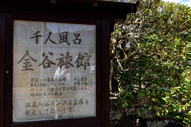 DSC_0664_CameraRAW_2048.jpg