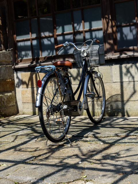 DSC_0666_CameraRAW_2048.jpg