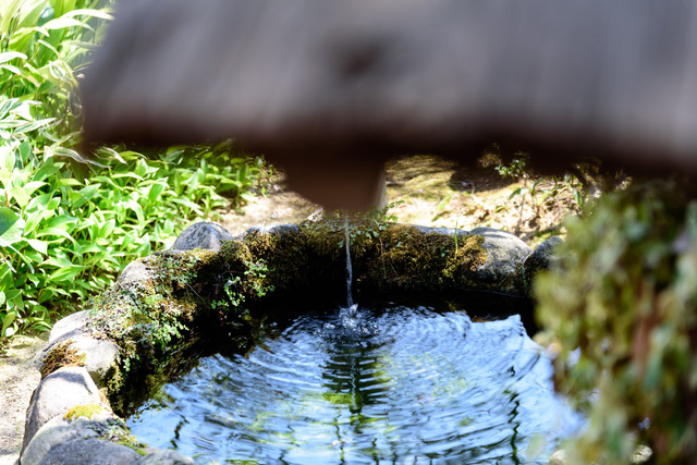 DSC_0673_CameraRAW_2048.jpg