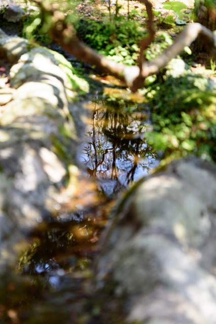 DSC_0675_CameraRAW_2048.jpg
