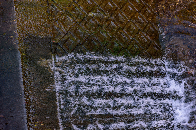 DSC_0686_CameraRAW_2048.jpg