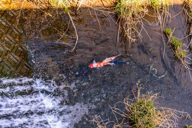 DSC_0687_CameraRAW_2048.jpg