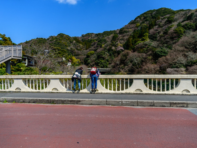 DSC_0696_CameraRAW_2048.jpg
