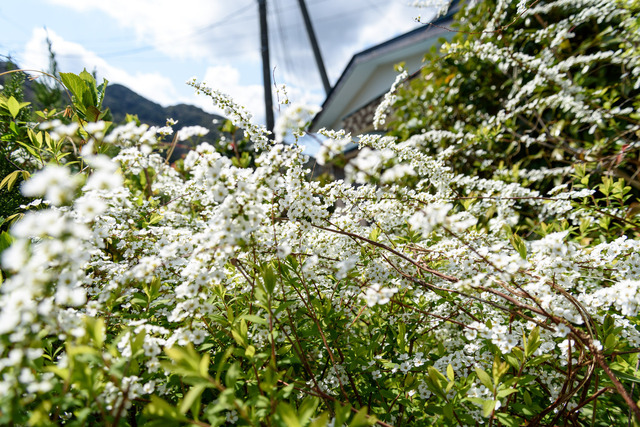 DSC_0710_CameraRAW_2048.jpg