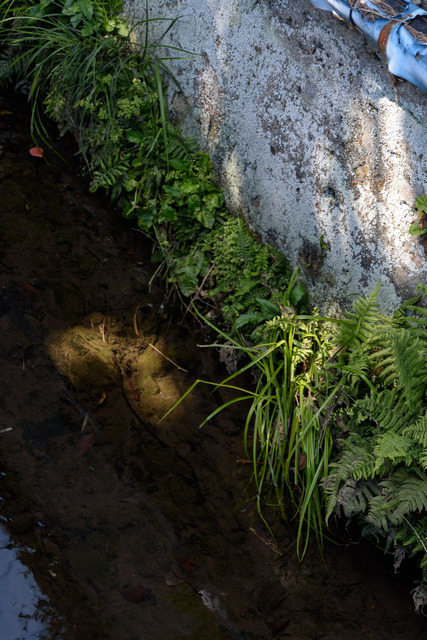 DSC_0736_CameraRAW_2048.jpg