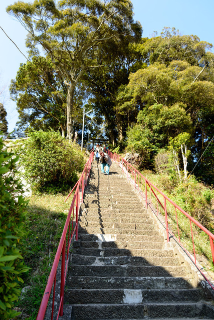 DSC_0781_CameraRAW_2048.jpg