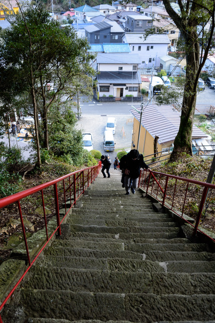 DSC_0791_CameraRAW_2048.jpg