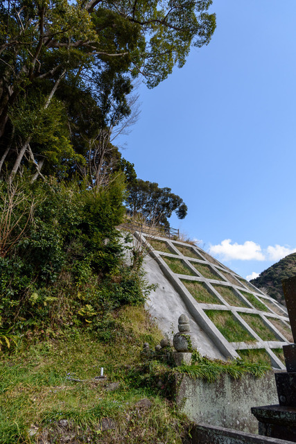 DSC_0814_CameraRAW_2048.jpg
