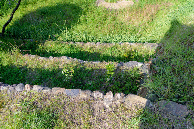 DSC_0815_CameraRAW_2048.jpg