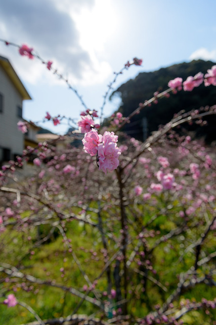 DSC_0818_CameraRAW_2048.jpg