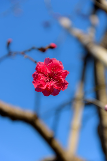 DSC_0833_CameraRAW_2048.jpg