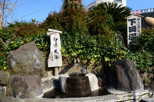 DSC_0856_CameraRAW_2048.jpg