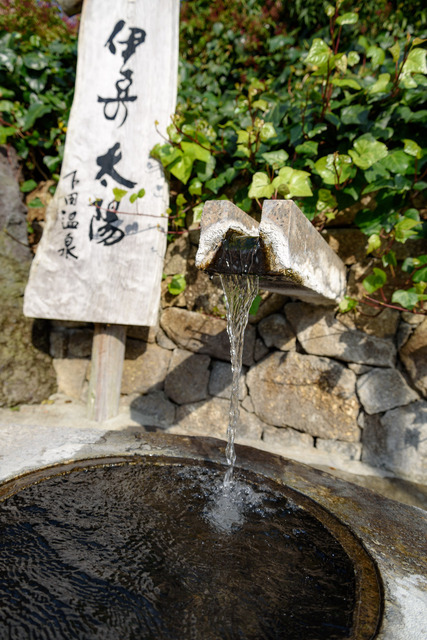 DSC_0857_CameraRAW_2048.jpg