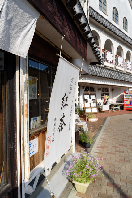 DSC_0858_CameraRAW_2048.jpg