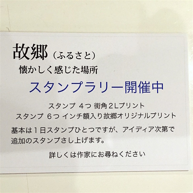 IMG_5771_1080x1080.jpg