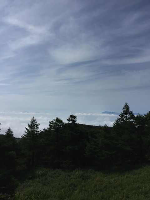 IMG_8897_2048x1536.jpg