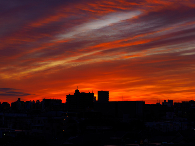 M1024046_CameraRAW_2048.jpg