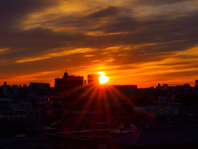 M1024091_CameraRAW_2048.jpg
