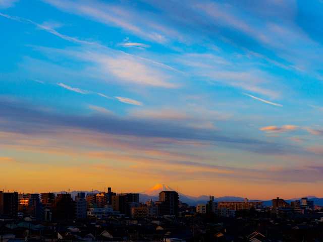 M1024099_CameraRAW_2048.jpg